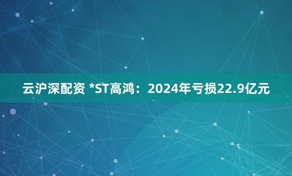 云沪深配资 *ST高鸿：2024年亏损22.9亿元