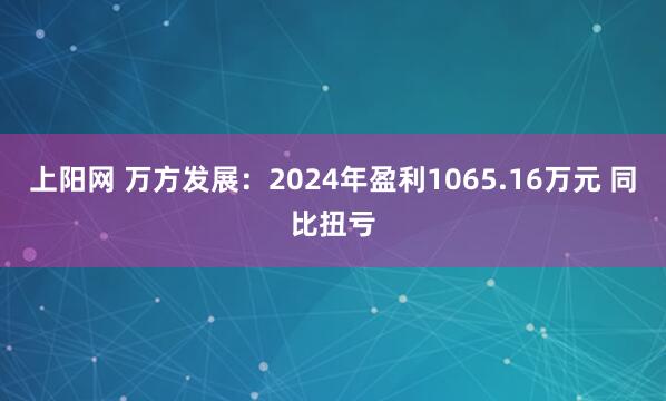 上阳网 万方发展：2024年盈利1065.16万元 同比扭亏