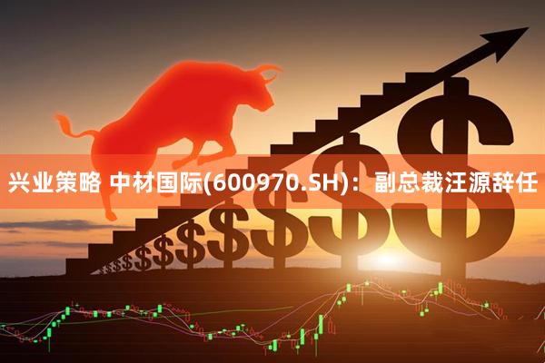 兴业策略 中材国际(600970.SH)：副总裁汪源辞任