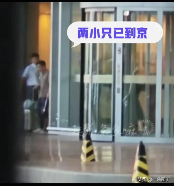 金牛网 孙颖莎王楚钦同机回京引热议！黑色豪车接机，粉丝福尔摩斯上线
